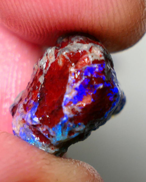 Lightning Ridge Rough Opal 7.75cts Dark Base Gamble Knobby formation Gorgeous blue fires 14x14x9mm NS106