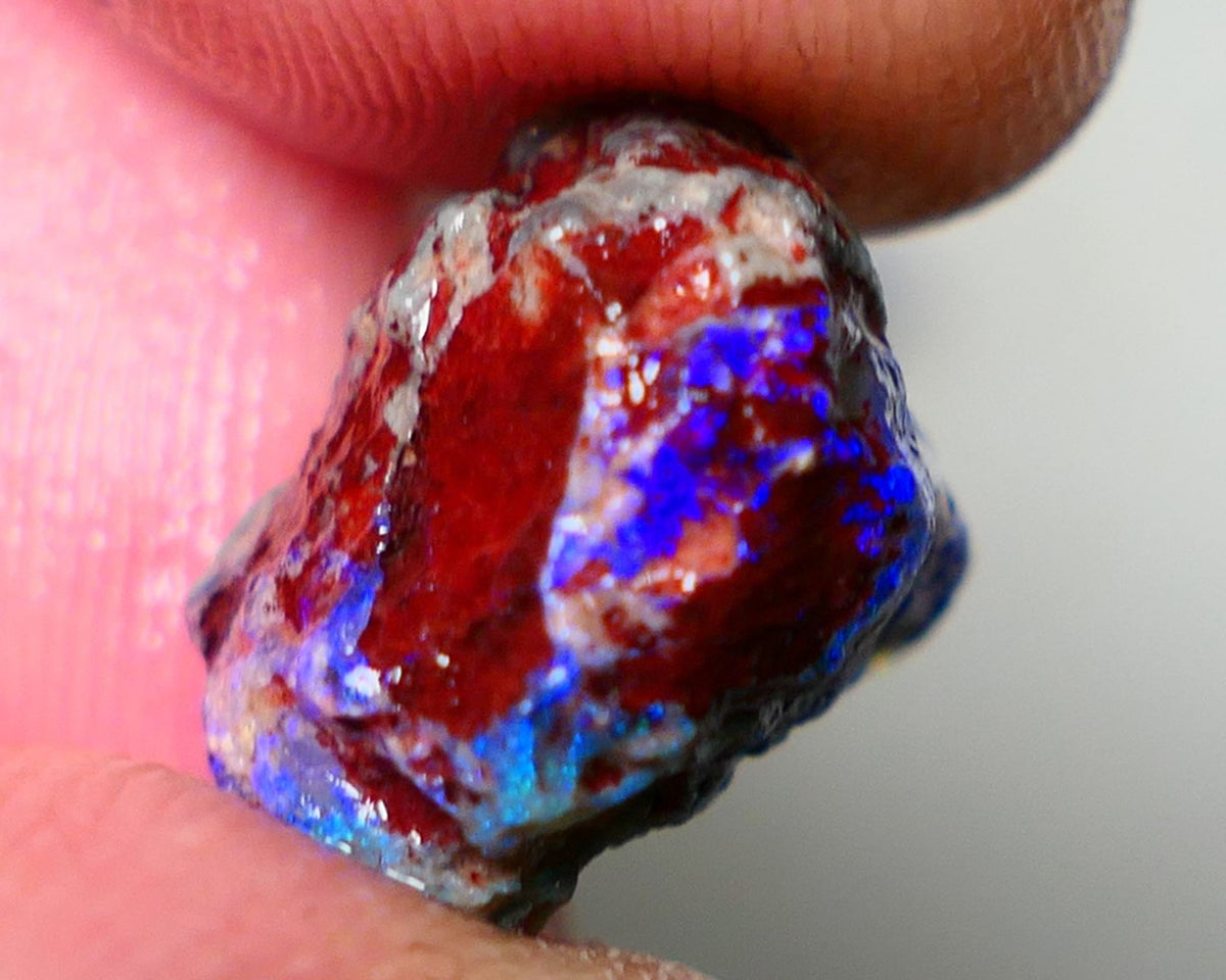 Lightning Ridge Rough Opal 7.75cts Dark Base Gamble Knobby formation Gorgeous blue fires 14x14x9mm NS106
