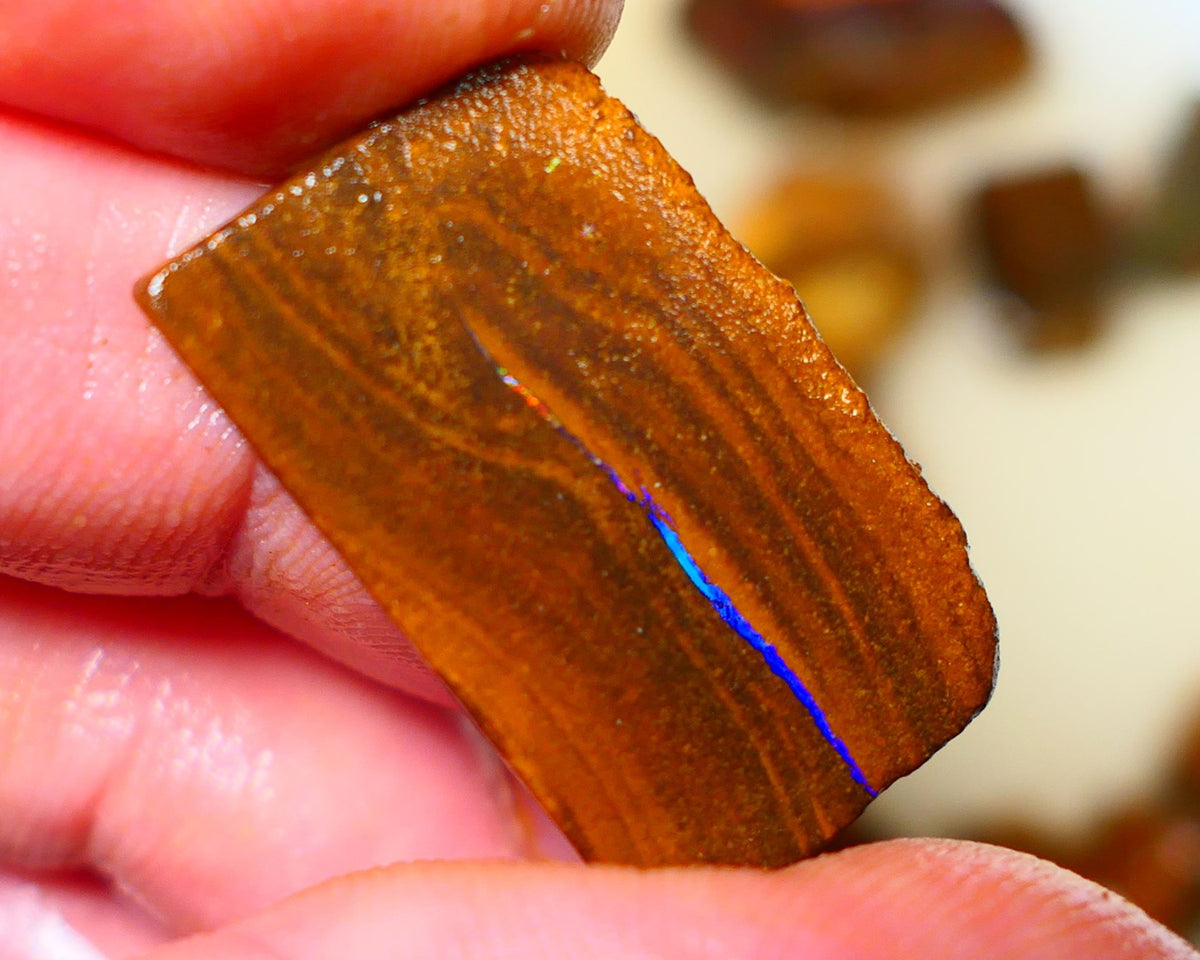 Queensland Boulder / Matrix opal 22cts rough/rub Winton Bright Green & Blue fires showing in a vein 29x17x3mm ALP006