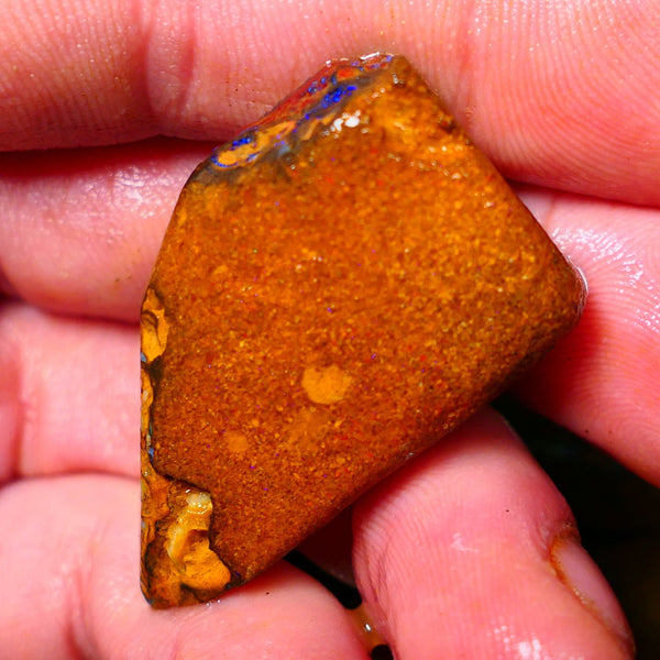 Queensland Boulder / Matrix opal 65cts Big rough/rub Yowah Gorgeous Bright Blue fires show plenty to go at here 38X23X9MM ALP007