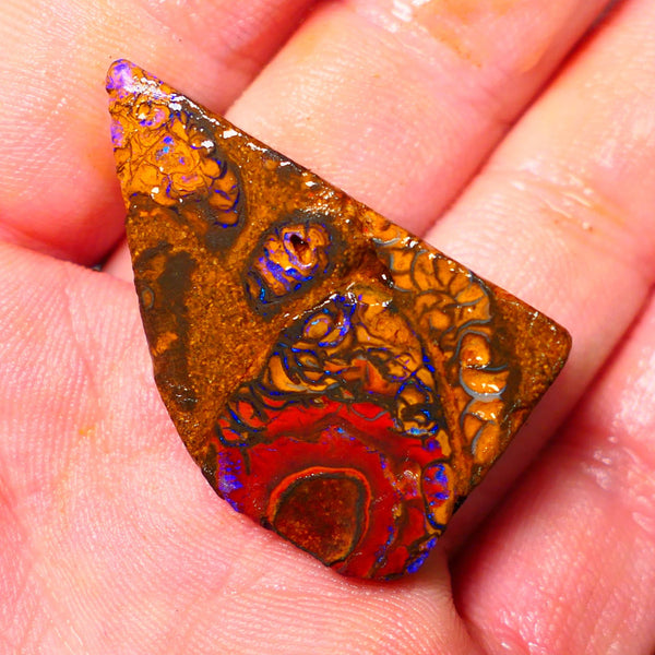 Queensland Boulder / Matrix opal 65cts Big rough/rub Yowah Gorgeous Bright Blue fires show plenty to go at here 38X23X9MM ALP007