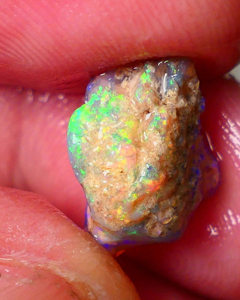 Lightning Ridge Gamble Knobby opal rough showing Very bright Multi colours 6.00cts 16x11x7mm  ALP114