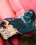 Big Size Lightning Ridge Black Seam opal 46cts Displaying Gorgeous Bands of Green Fires 35x18x15mm NSW129