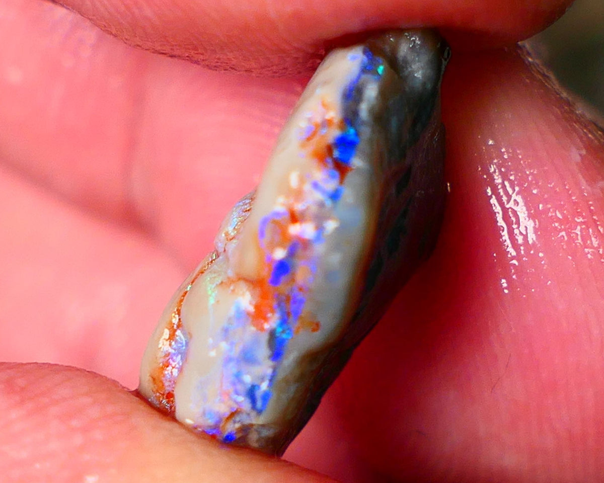 Lightning Ridge Gamble knobby opal rough 6.15cts showing nice bright Blue colours 17x12x6mm ALP145