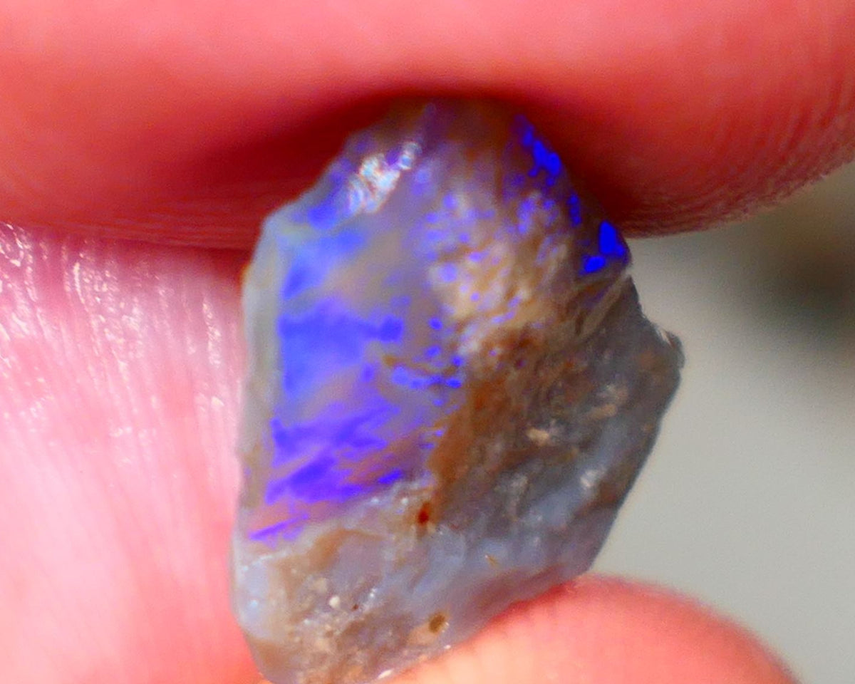 Lightning Ridge Rough rub Opal 3.15cts Dark Base blue dominant fires to cut and polish 15x13x3mm NSW132