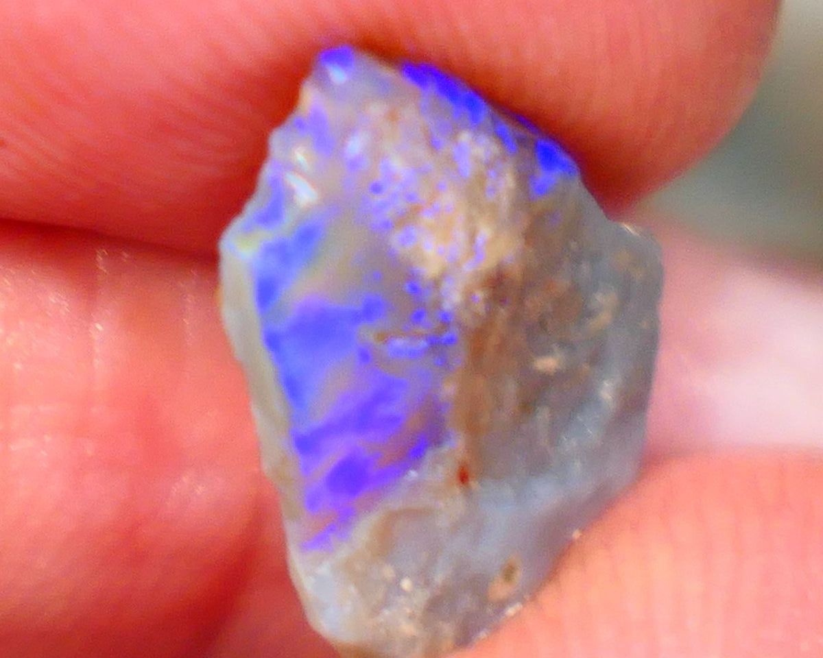 Lightning Ridge Rough rub Opal 3.15cts Dark Base blue dominant fires to cut and polish 15x13x3mm NSW132