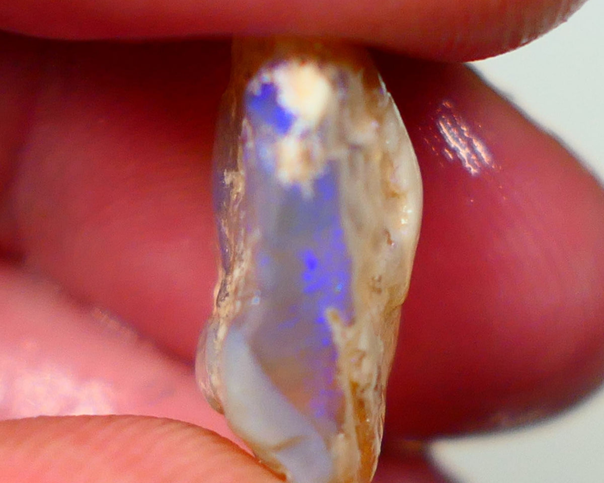 Lightning Ridge Rough Opal 11.25cts Dark Base Crystal Gamble Knobby blue dominant fires with flashes of yellows 18x14x7mm  NSW131