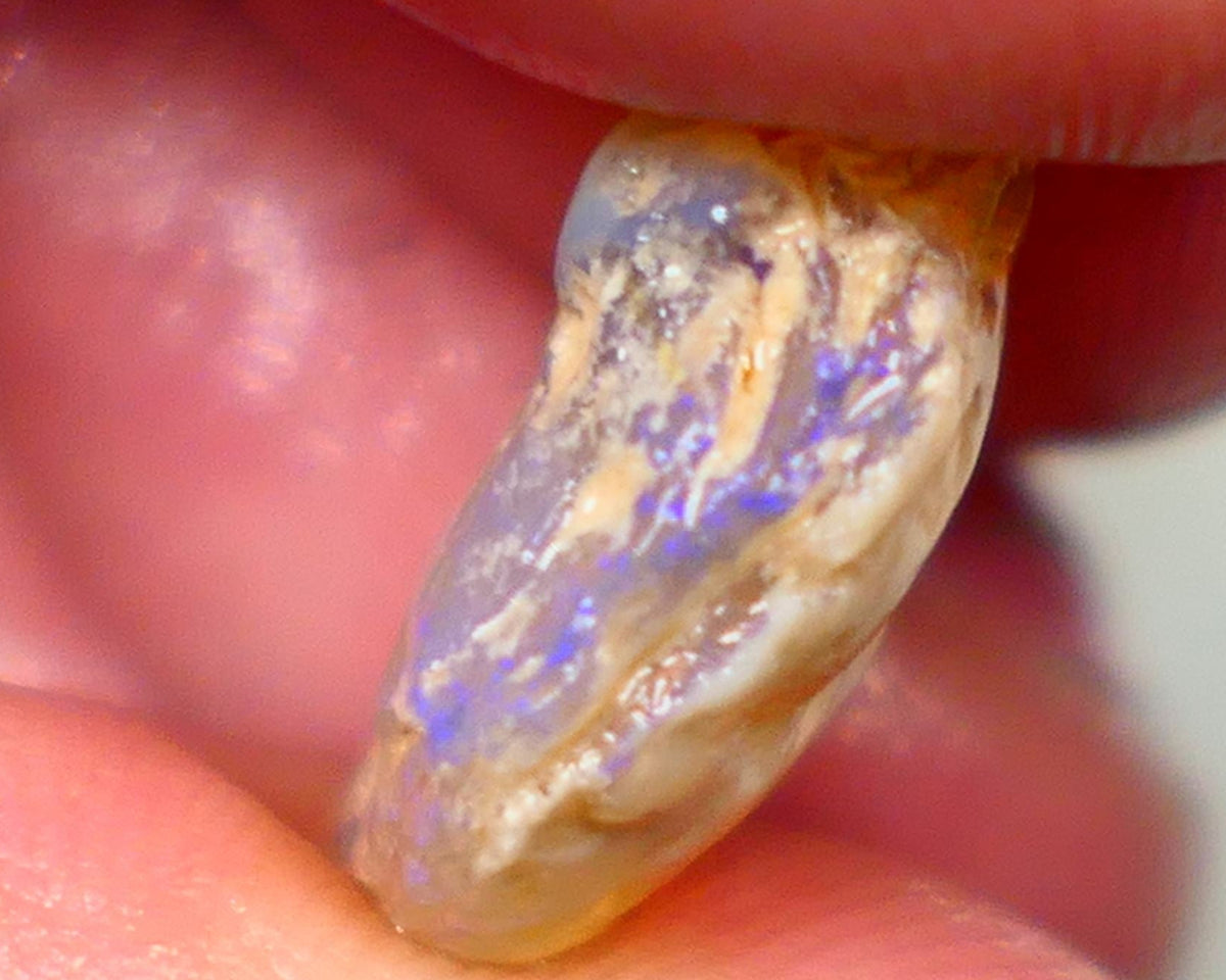 Lightning Ridge Rough Opal 11.25cts Dark Base Crystal Gamble Knobby blue dominant fires with flashes of yellows 18x14x7mm  NSW131