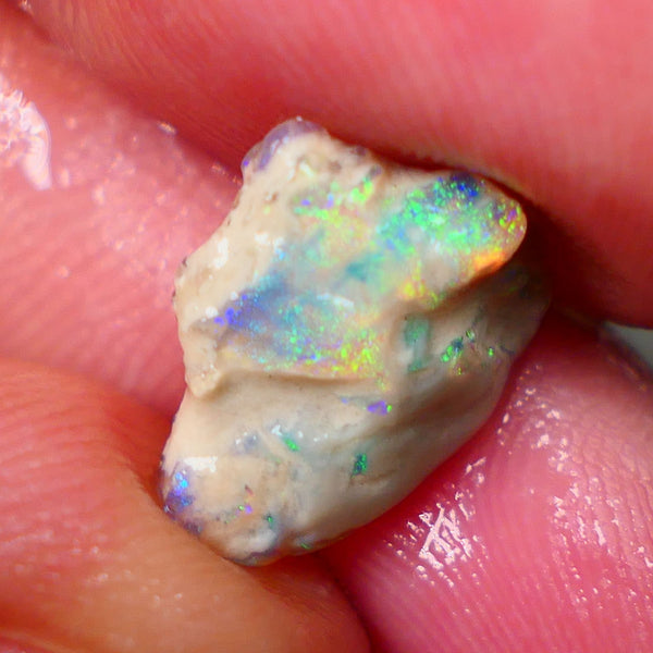 Lightning Ridge Knobby opal formation 3.45cts Gorgeous Multifires showing Sold as Gamble 14x11x4mm GMB-002