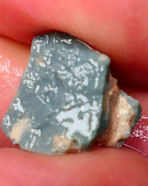 Lightning Ridge Untouched Seam opal formation rough 4.50cts Showing some nice bright Multicolours collect or gamble 13x12x7mm GMB-012