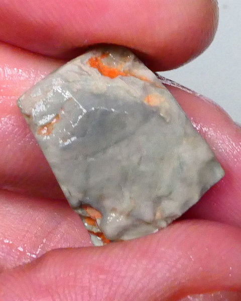Australian Rub / Rough Dark base opal 13.40cts Lightning Ridge Sharp Very Bright Green / Yellow / Orange dominant Fires 19x15x7mm NSW172