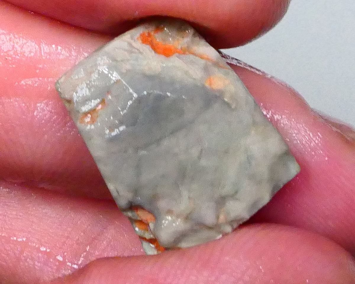 Australian Rub / Rough Dark base opal 13.40cts Lightning Ridge Sharp Very Bright Green / Yellow / Orange dominant Fires 19x15x7mm NSW172