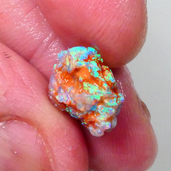 New Weekly Deal Details to come ALP516