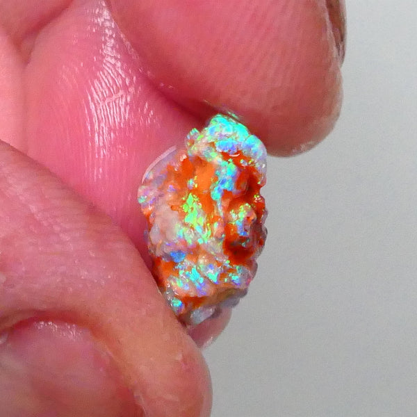 New Weekly Deal Details to come ALP516