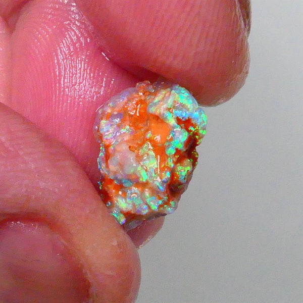 New Weekly Deal Details to come ALP516