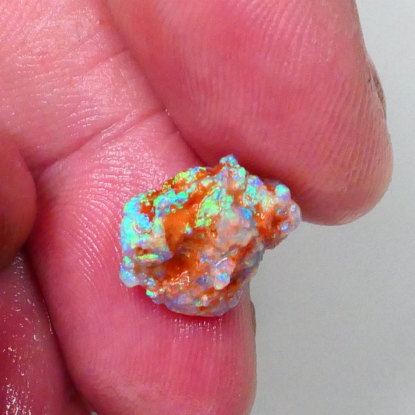 New Weekly Deal Details to come ALP516