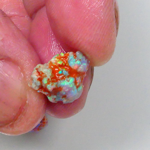 New Weekly Deal Details to come ALP512