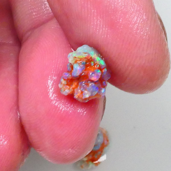 New Weekly Deal Details to come ALP512