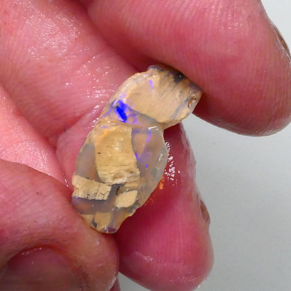 New Weekly Deal Details to come ALP510