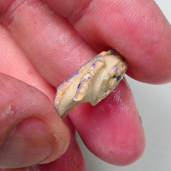 New Weekly Deal Details to come ALP510