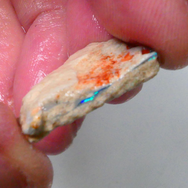 New Weekly Deal Details to come ALP509