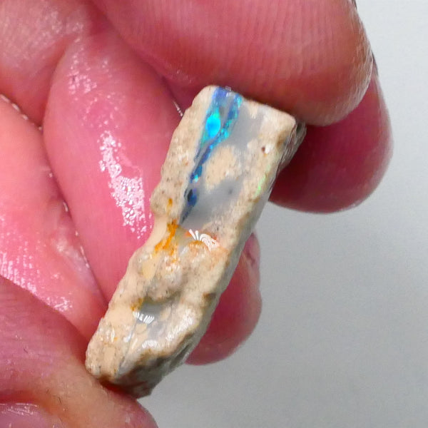 New Weekly Deal Details to come ALP509