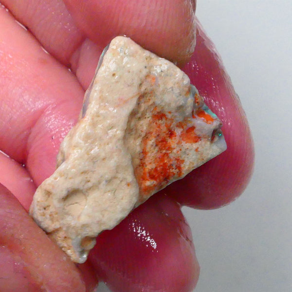 New Weekly Deal Details to come ALP509