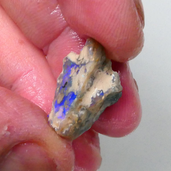 New Weekly Deal Details to come ALP508