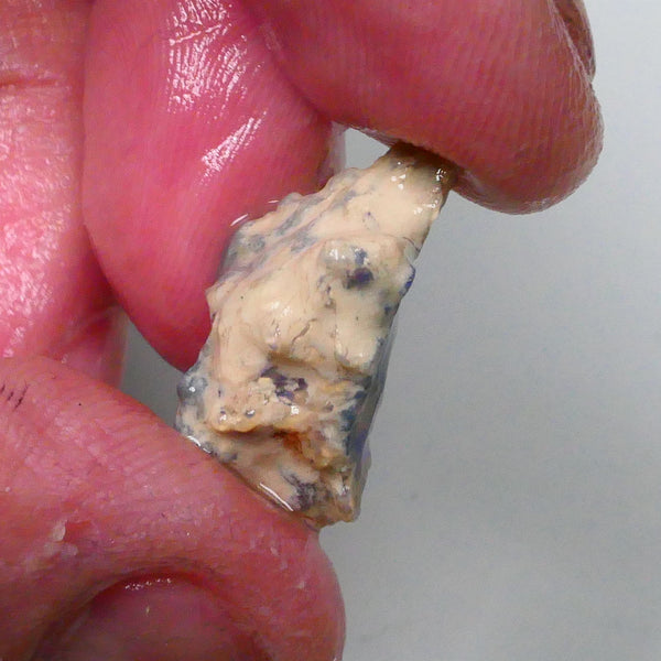 New Weekly Deal Details to come ALP508