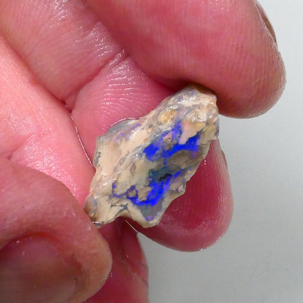 New Weekly Deal Details to come ALP508