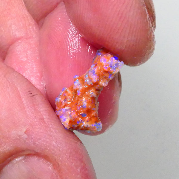 New Weekly Deal Details to come ALP507