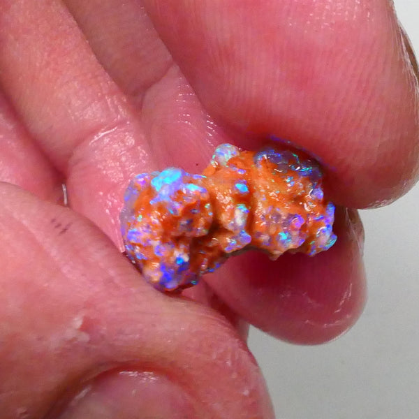 New Weekly Deal Details to come ALP507