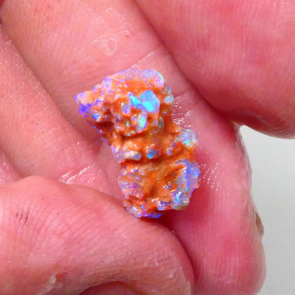 New Weekly Deal Details to come ALP507