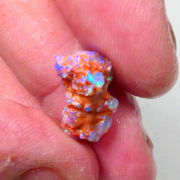 New Weekly Deal Details to come ALP507