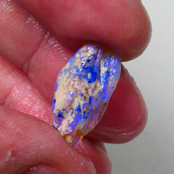 New Weekly Deal Details to come ALP506