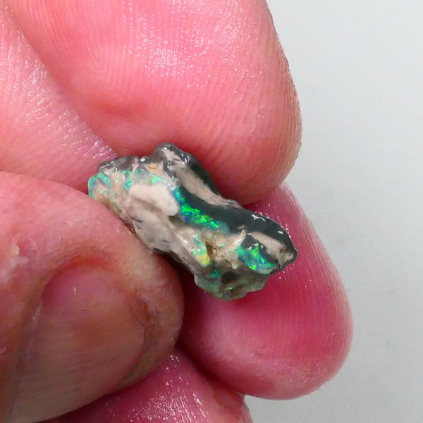 New Weekly Deal Details to come ALP504