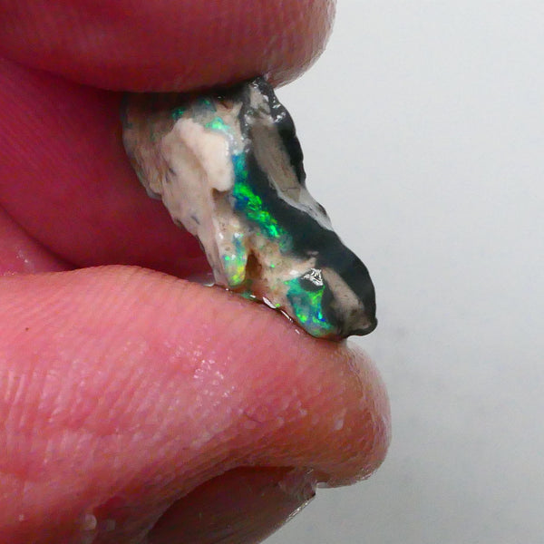 New Weekly Deal Details to come ALP504