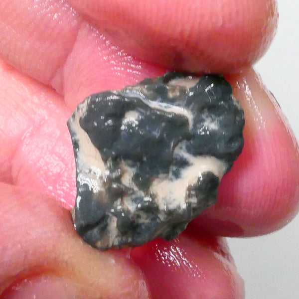 New Weekly Deal Details to come ALP504