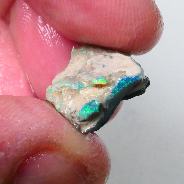 New Weekly Deal Details to come ALP504