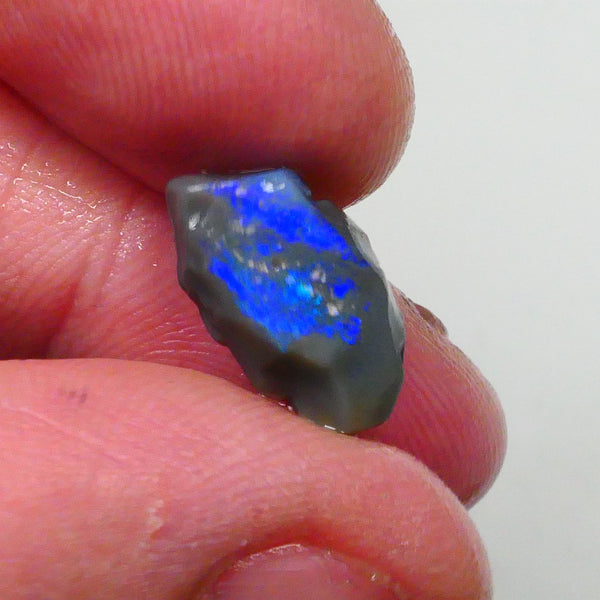 New Weekly Deal Details to come ALP526