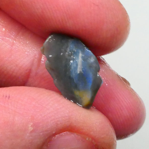 New Weekly Deal Details to come ALP526