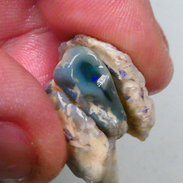 New Weekly Deal Details to come ALP524