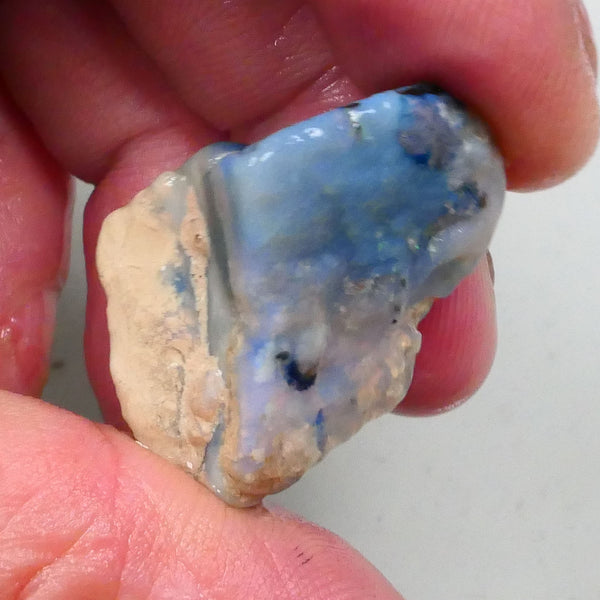 New Weekly Deal Details to come ALP523