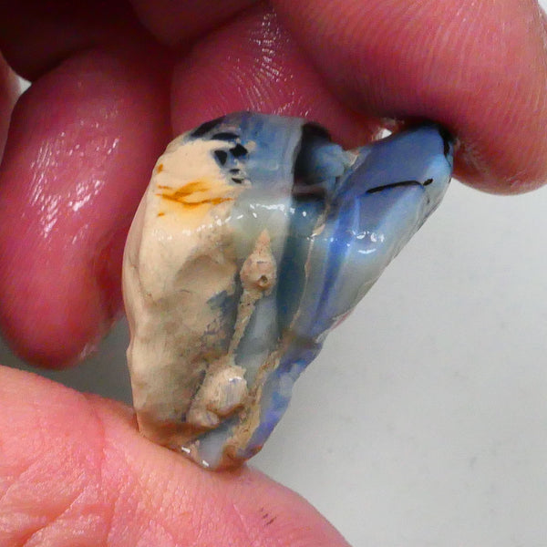 New Weekly Deal Details to come ALP523