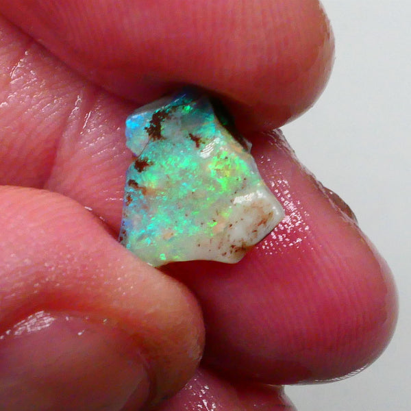 New Weekly Deal Details to come ALP521