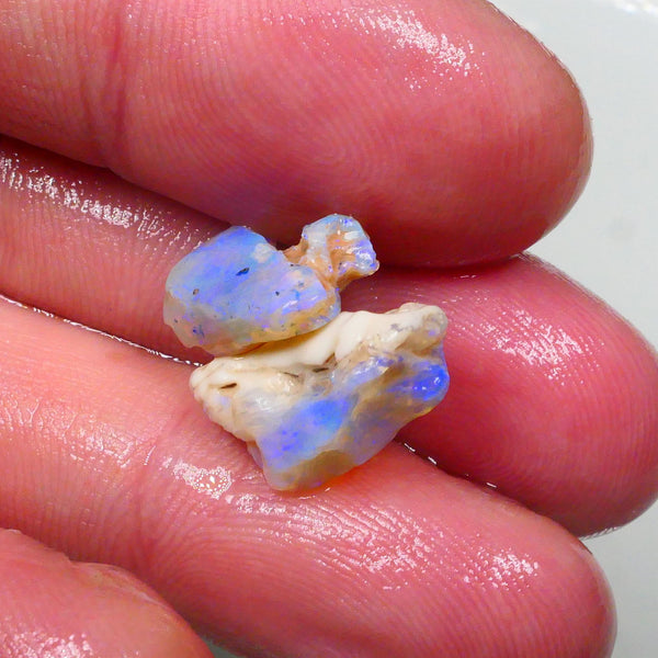 New Weekly Deal Details to come ALP518