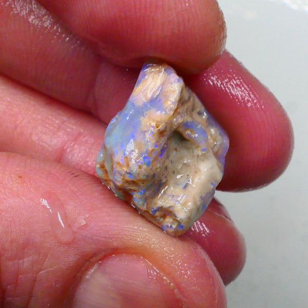 New Weekly Deal Details to come ALP517