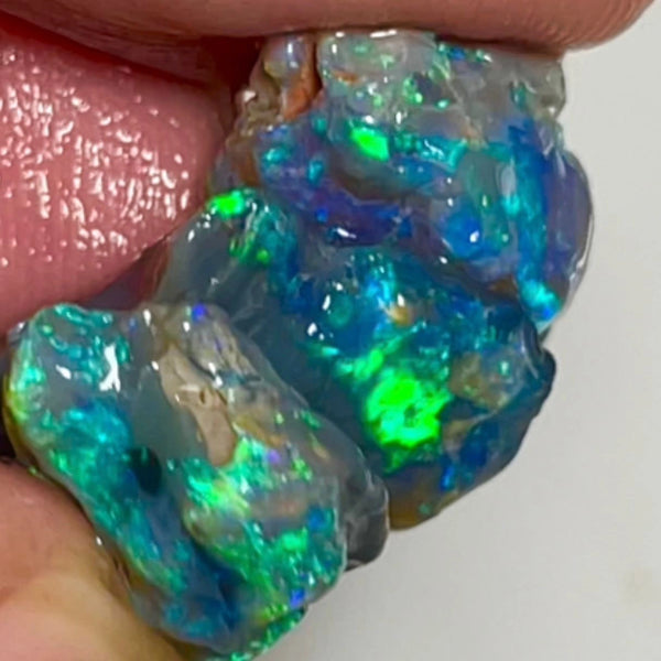 Blues & Greens on Black rough opals of Lightning Ridge 21.50cts Gorgeous Bright colours to cut 21x13x4 to 14x7x7mm NSW123