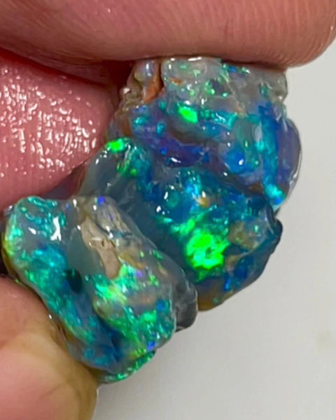 Blues & Greens on Black rough opals of Lightning Ridge 21.50cts Gorgeous Bright colours to cut 21x13x4 to 14x7x7mm NSW123