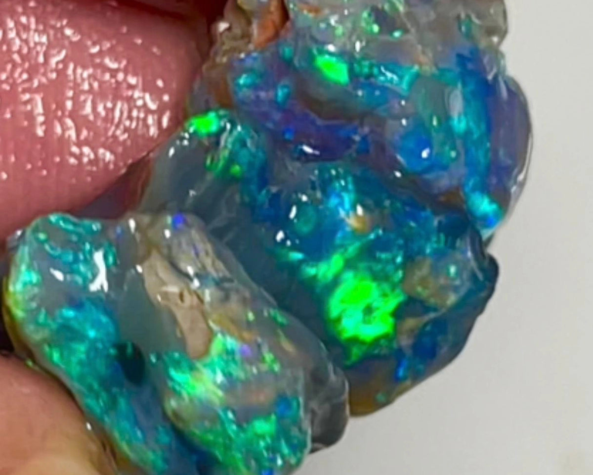 Blues & Greens on Black rough opals of Lightning Ridge 21.50cts Gorgeous Bright colours to cut 21x13x4 to 14x7x7mm NSW123